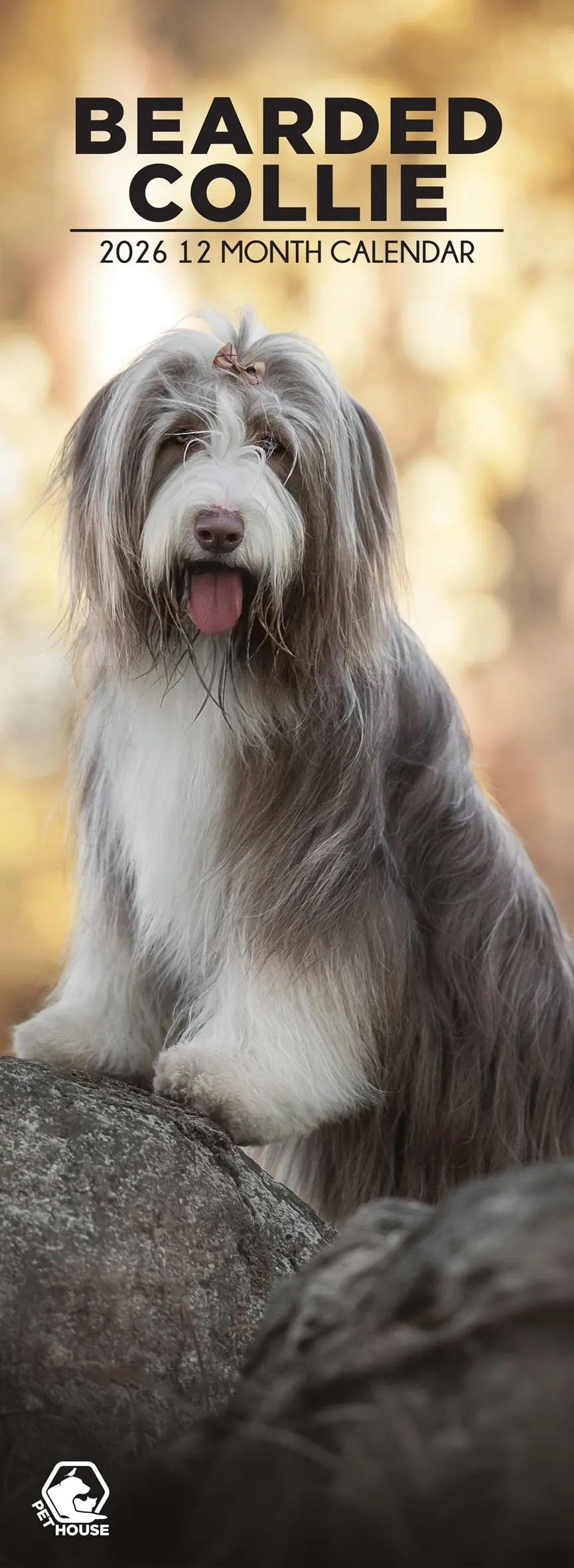 Bearded Collie Slimline Kalender 2026