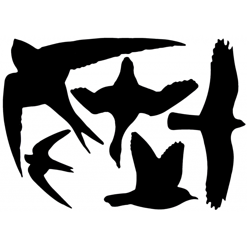 Raamstickers vogels - 5x st - zwart - vogel silhouet stickers - tuinvogel raamdecoratie