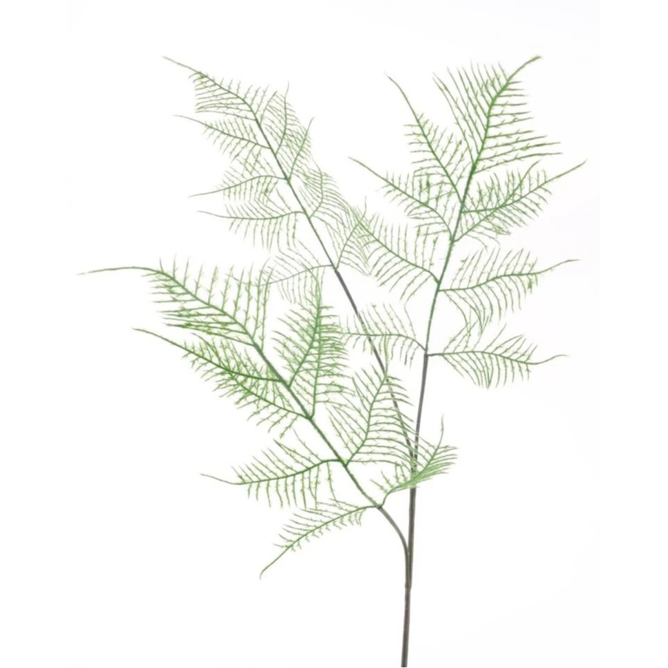Kunstbloem tak Asparagus/sierasperge - 80 cm - groen - kunst zijdebloem/kunstplant
