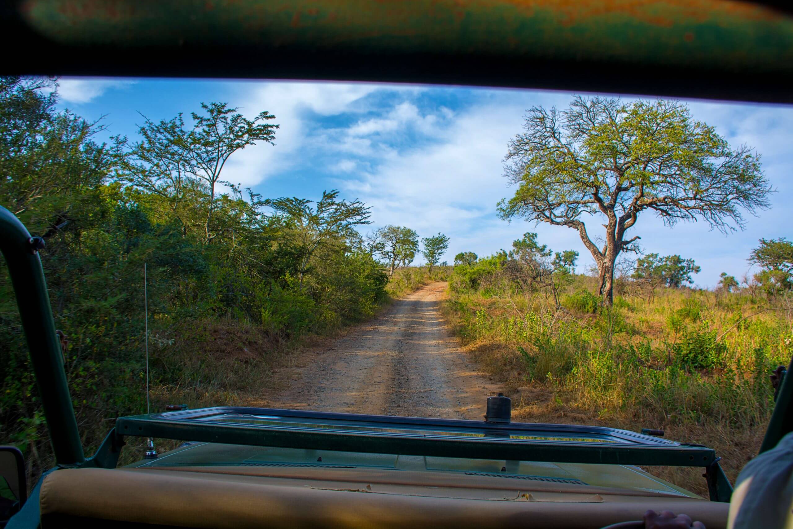 Hluhluwe big five game drive