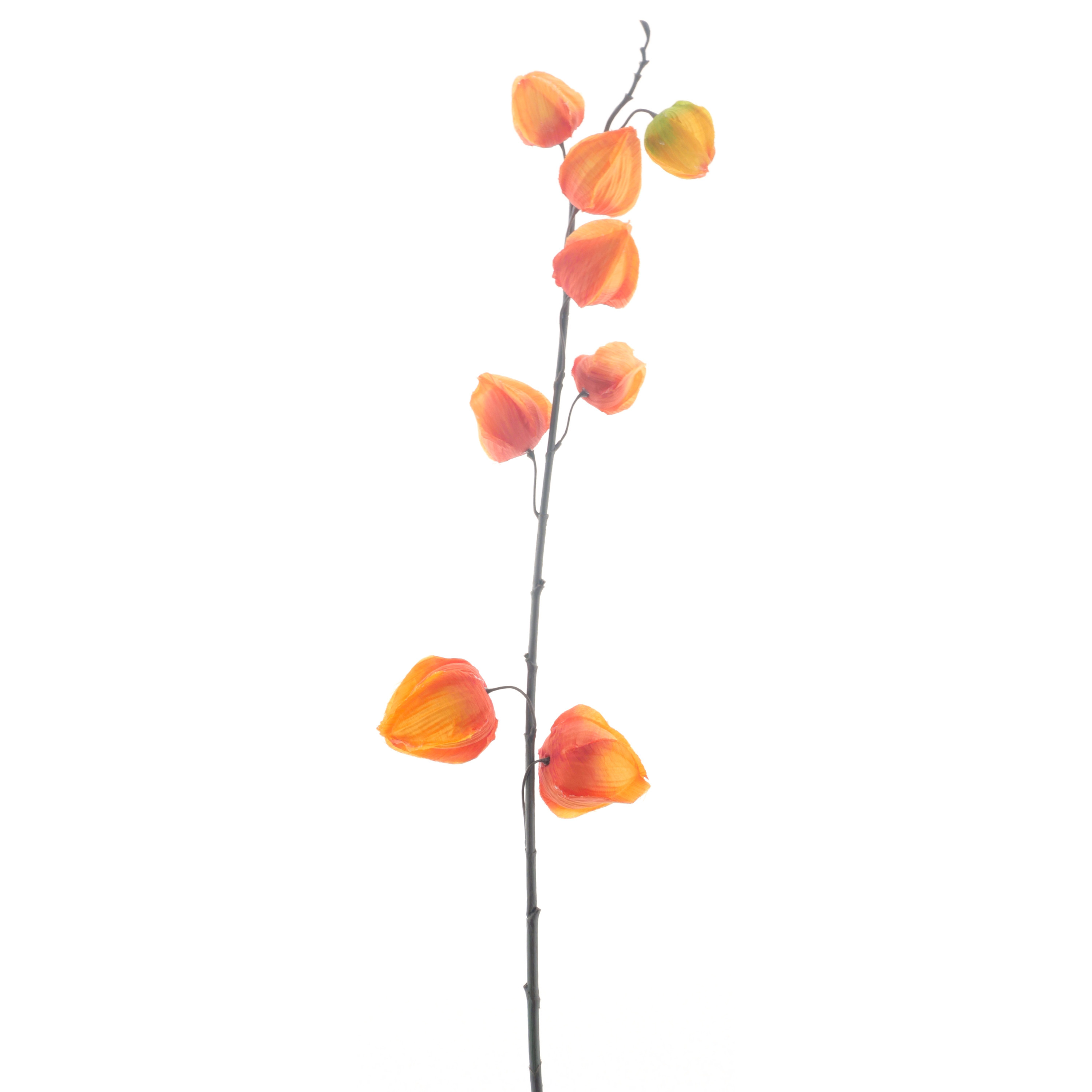 Bellatio Design Kunstbloem Lampionplant/physalis tak - 73 cm