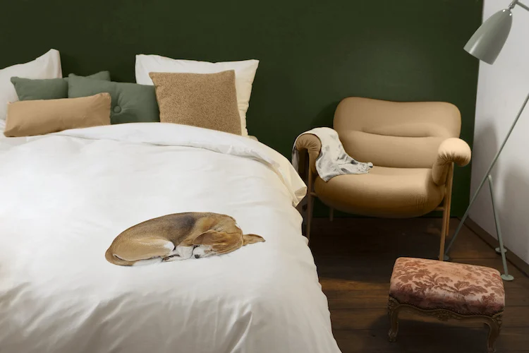 Snurk Bob Dekbedovertrek