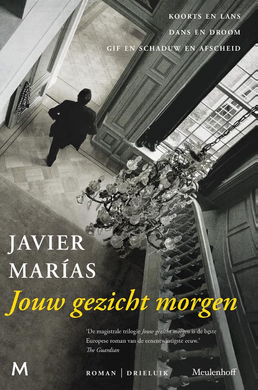 Jouw gezicht morgen (Hardback)