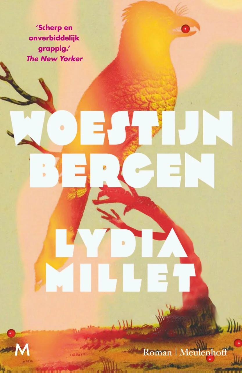 Woestijnbergen (Hardback)