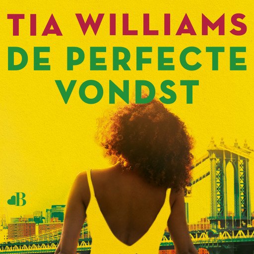 De perfecte vondst (Paperback)