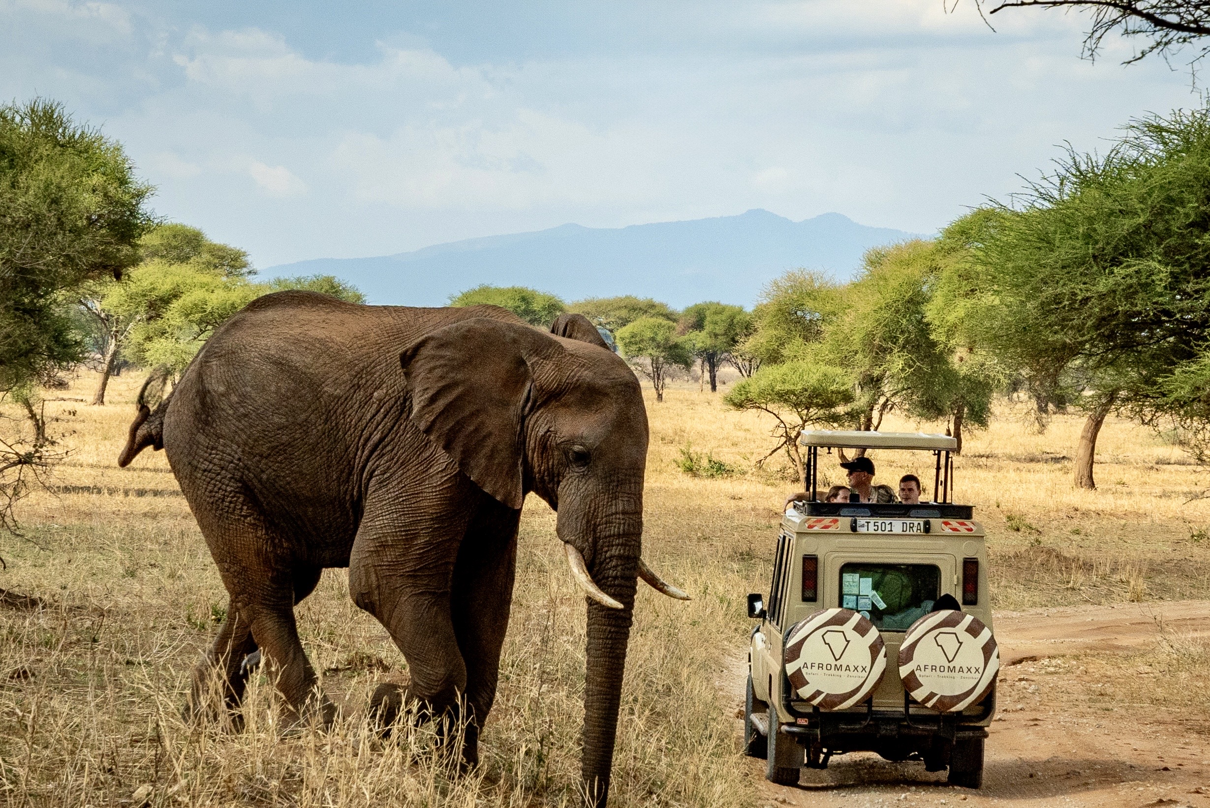 15 dagen safari klassiek Tanzania en Zanzibar