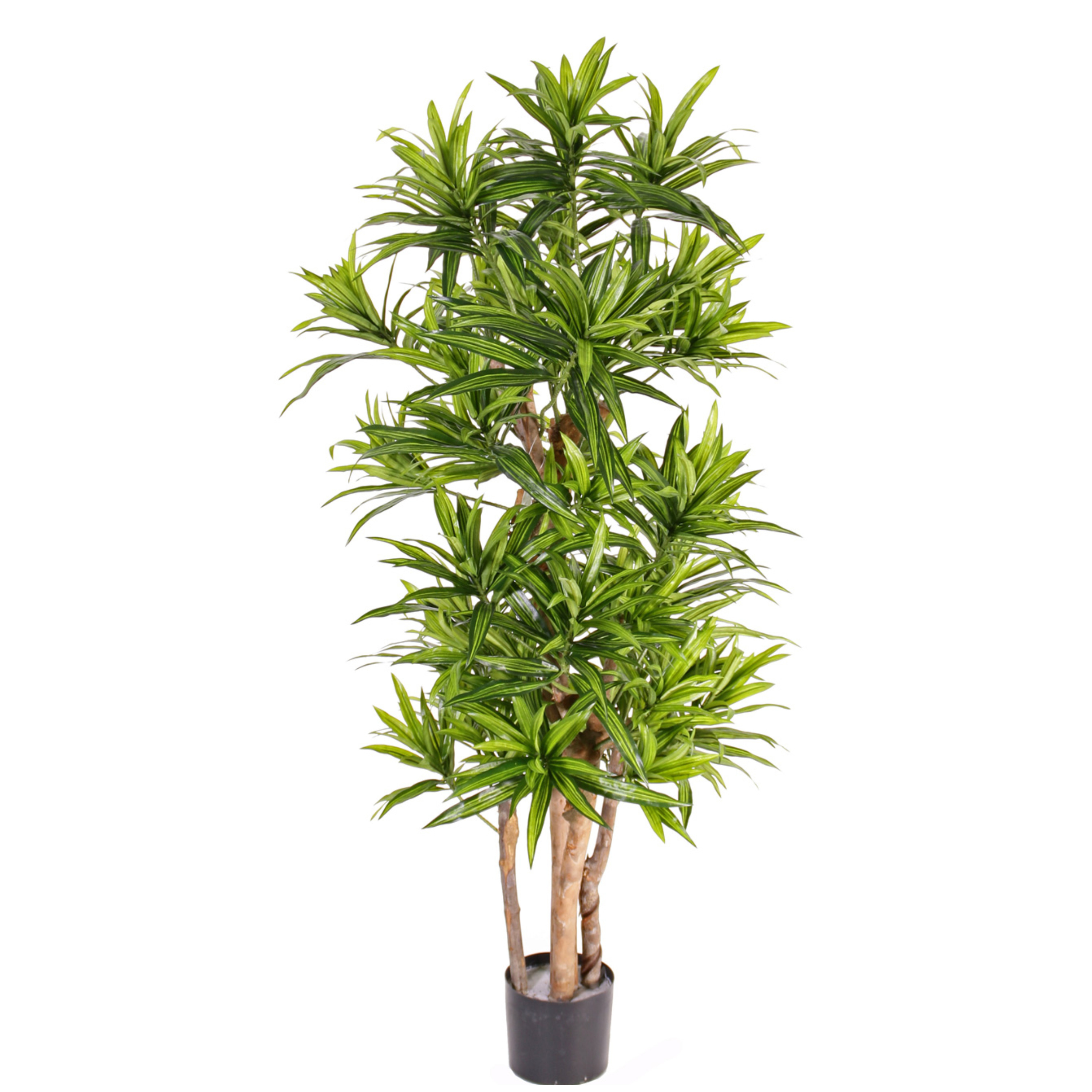 Kunstplant Groene Dracaena reflexa - H120 cm - voor binnen - nepplant - binnenplant