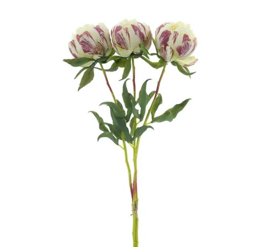 Paeony Marlie bundle a 3 pcs cream 63 cm kunstbloem Erutan Avon - Erutan avon