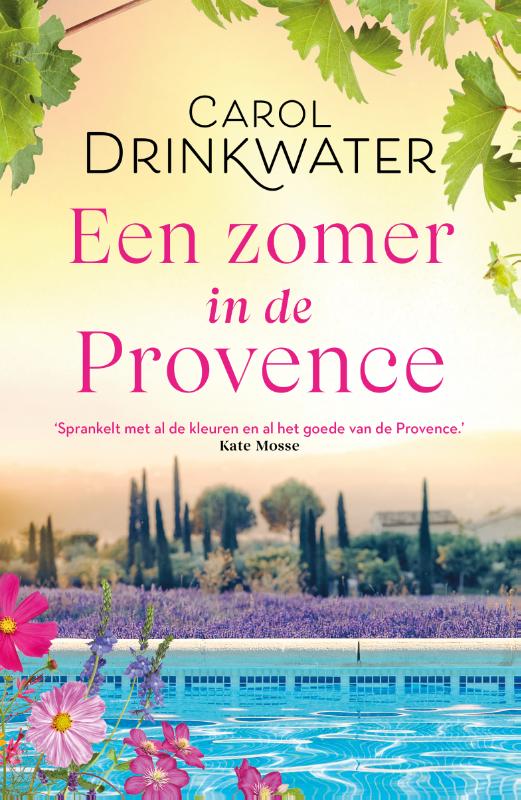 Een zomer in de provence (Paperback)