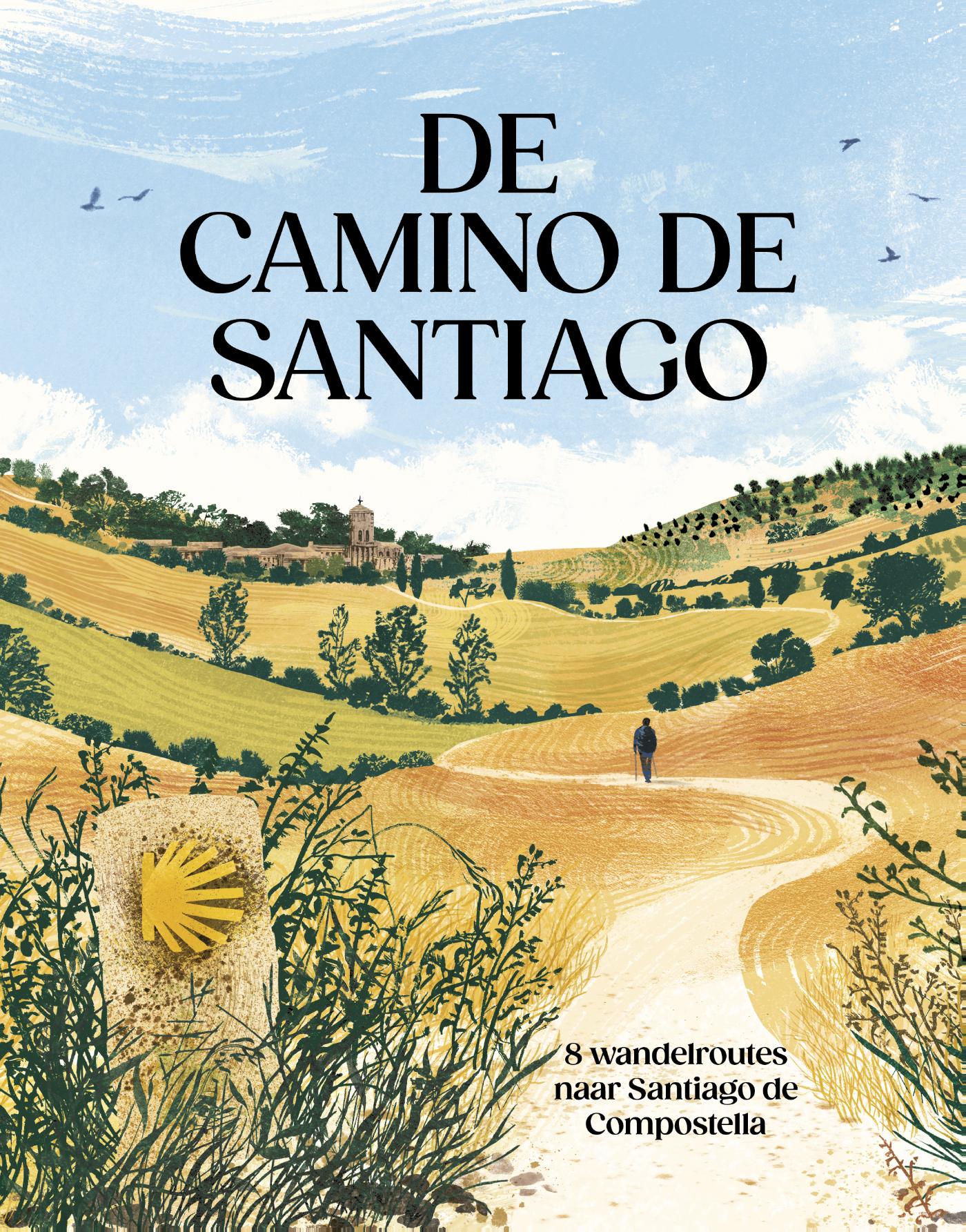 De Camino de Santiago (Hardback)