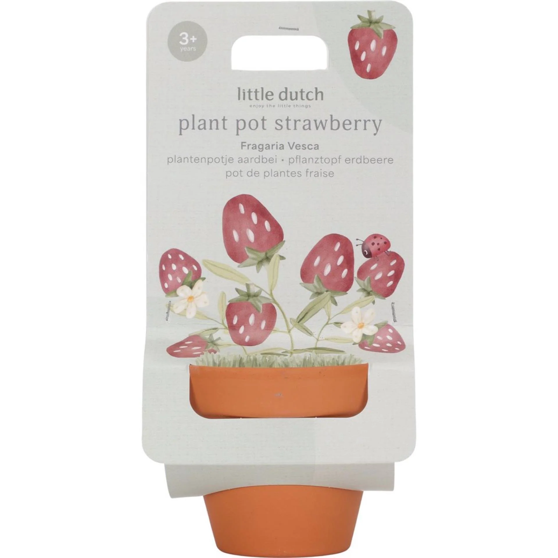 Little Dutch plantenpotje aardbei