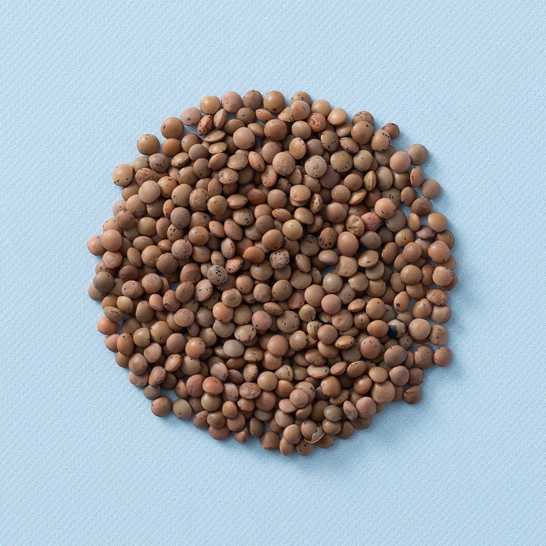 Bruine linzen (bio) 700 gram