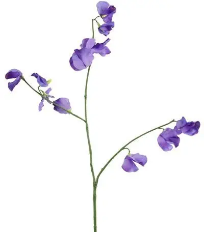 Countryfield kunsttak lathyrus 77cm paars