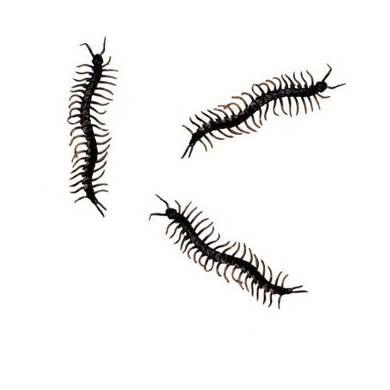 Horror decoratie nep duizendpoten - 12x - zwart - 13 cm - Halloween