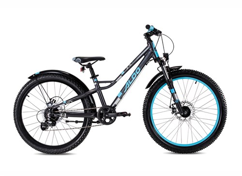 Aldo 24 inch xride alu grey/blue 8v naafdynamo schijfrem