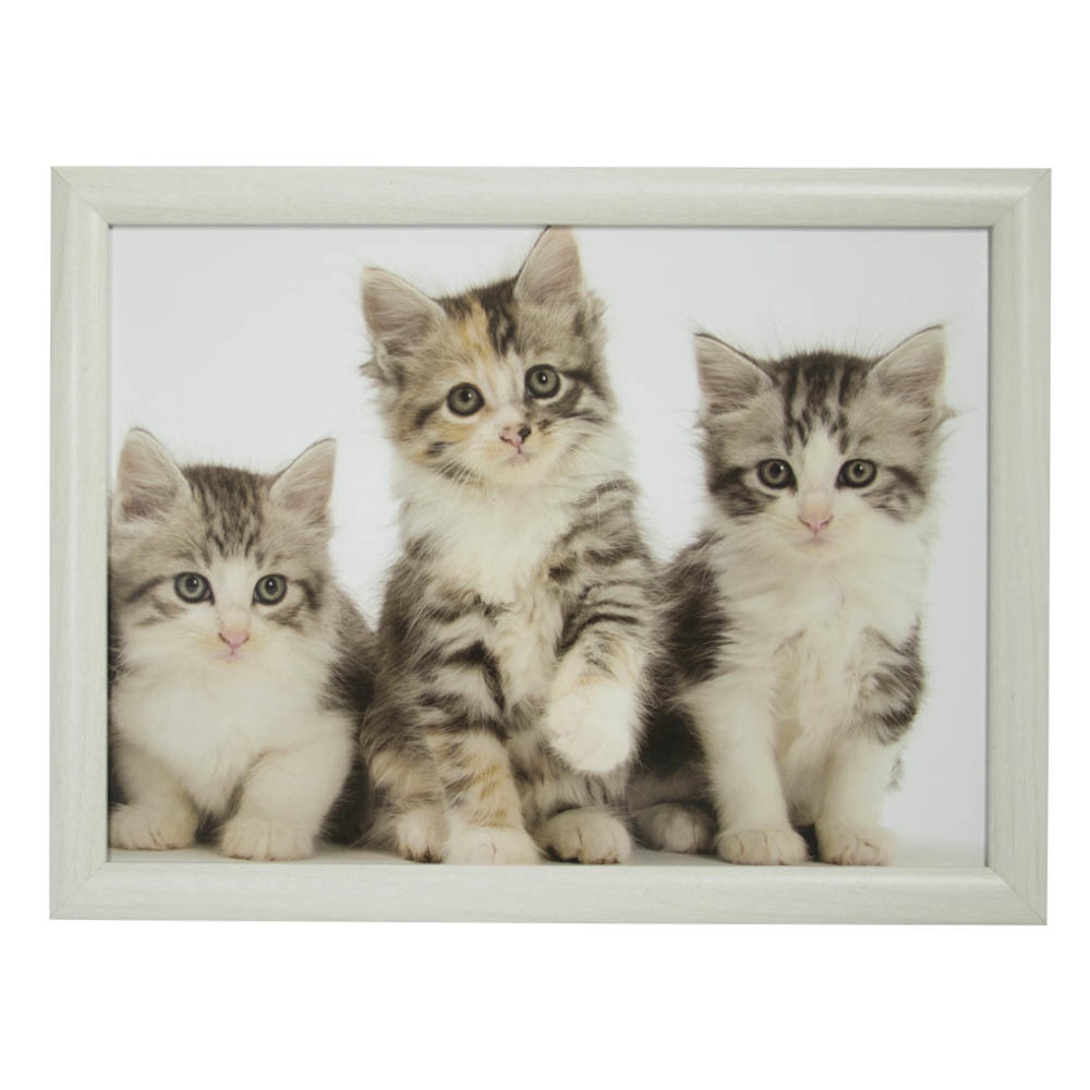 Mars & More schoottafel - katten print - 33 x 43 cm - laptray